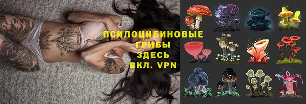 каннабис Дмитровск